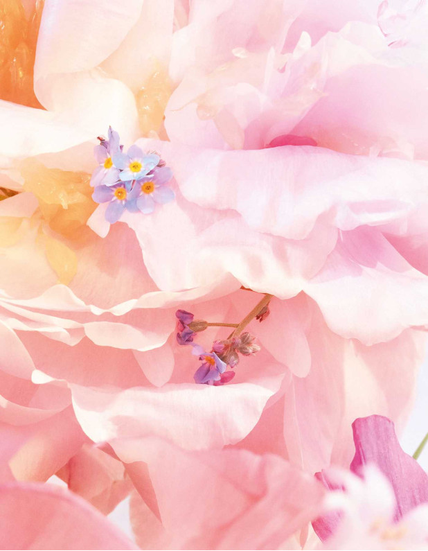 Miss Dior Blooming Bouquet Edt
